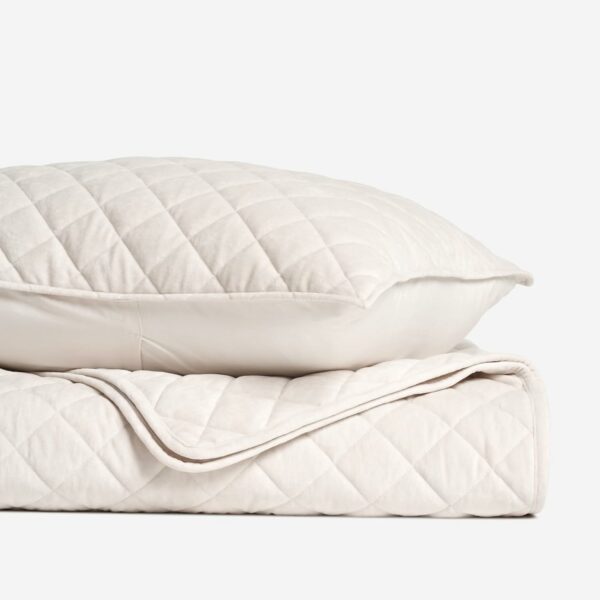 61MxR7JfWOL_AC_SL1500_jpg - Compare and Shop The Best Products NOW