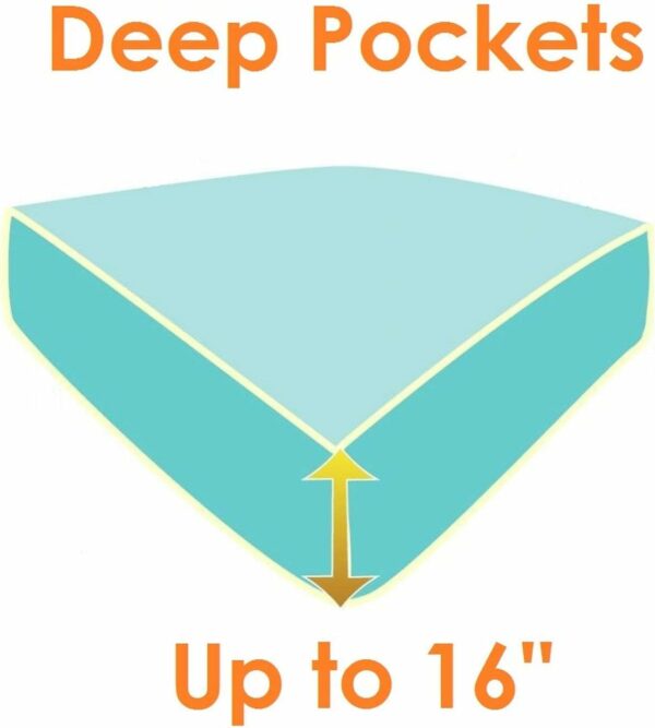 61biibhK-CL_AC_SL1500_jpg - Compare and Shop The Best Products NOW