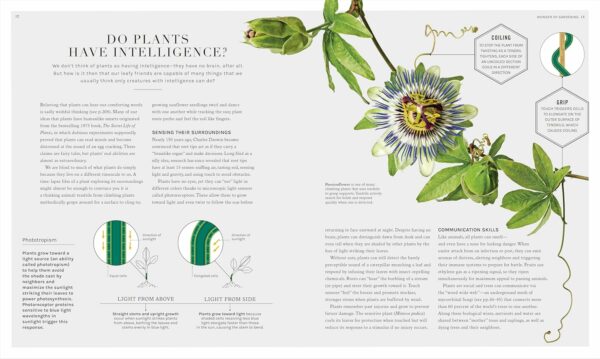 81AWq5BImVL_SL1500_jpg - Compare and Shop The Best Products NOW