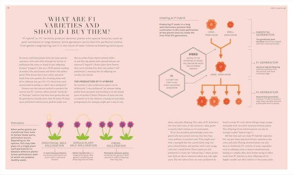 81B1XU2QSNL_SL1500_jpg - Compare and Shop The Best Products NOW