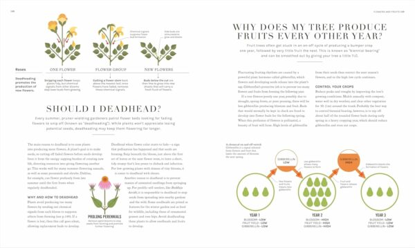 81QGj-C7TdL_SL1500_jpg - Compare and Shop The Best Products NOW