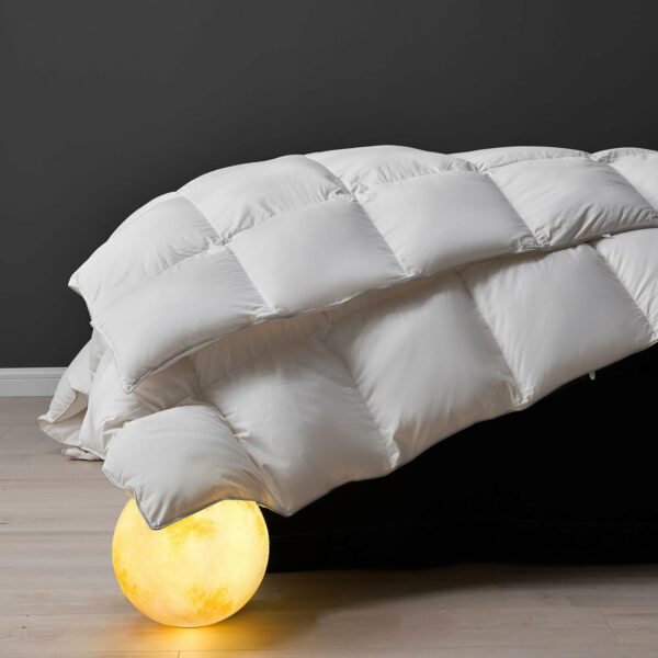 DWR Superior Luxury Feather Down Comforter King Size Ultra- - Compare and Shop The Best Products NOW