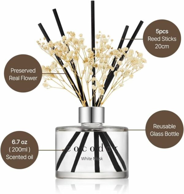 61BRGI3Qx9L_AC_SL1000_jpg - Compare and Shop The Best Products NOW