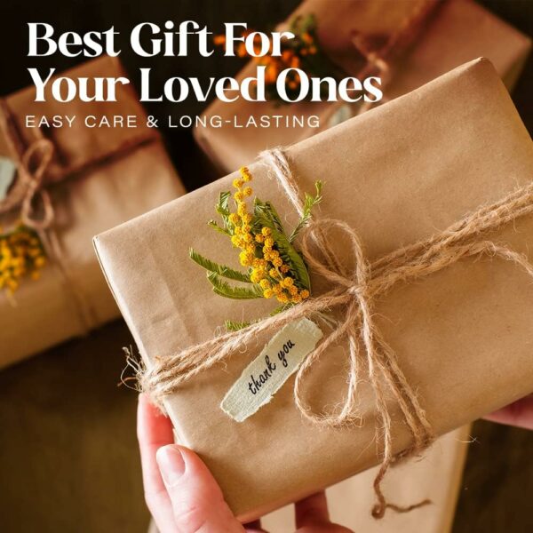 61GHuK-QyEL_AC_SL1000_jpg - Compare and Shop The Best Products NOW