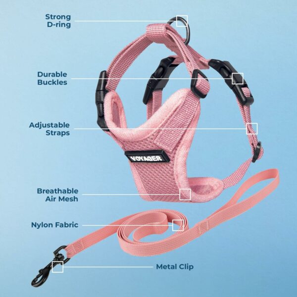 716aed5izpL_AC_SL1500_jpg - Compare and Shop The Best Products NOW