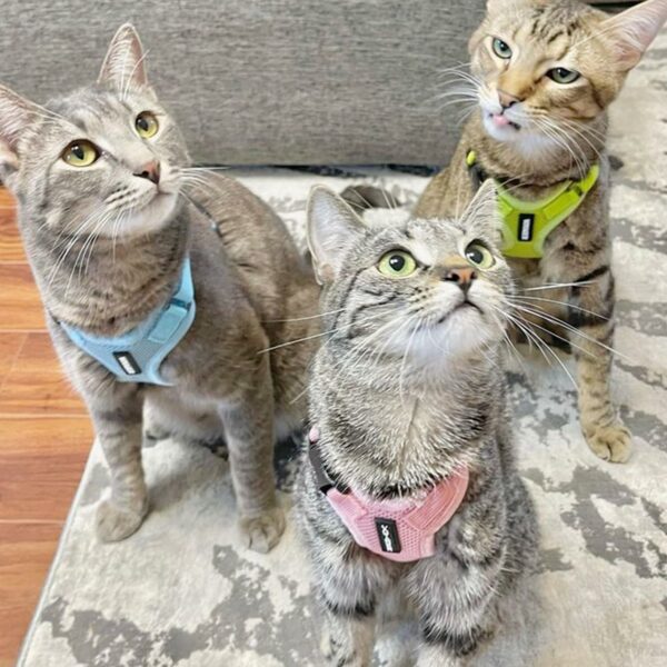 71ZelELHRL_AC_SL1500_jpg - Compare and Shop The Best Products NOW