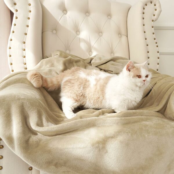 81IhxnEsLpL_AC_SL1500_jpg - Compare and Shop The Best Products NOW