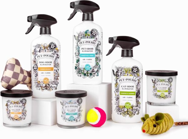 81iH7A3S1-L_AC_SL1500_jpg - Compare and Shop The Best Products NOW