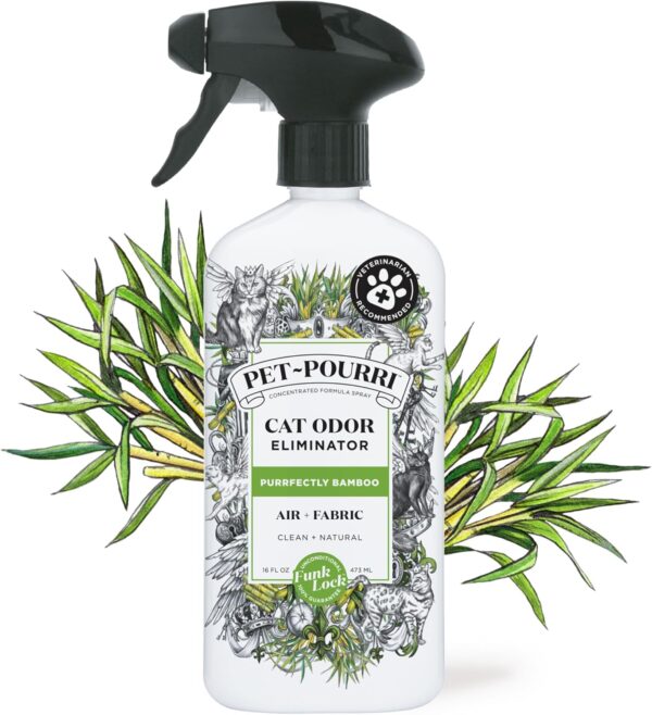 81qved79vL_AC_SL1500_jpg - Compare and Shop The Best Products NOW