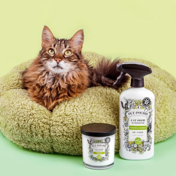 916BPW7KHAL_AC_SL1500_jpg - Compare and Shop The Best Products NOW