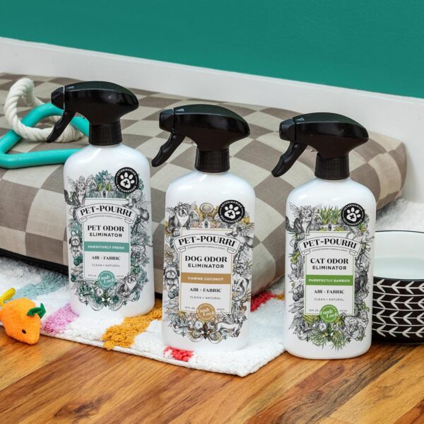 91n0ZcFTm3L_AC_SL1500_jpg - Compare and Shop The Best Products NOW