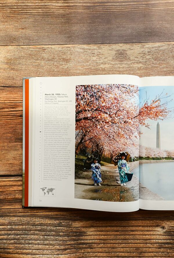 91rP8ev8DeL_SL1500_jpg - Compare and Shop The Best Products NOW