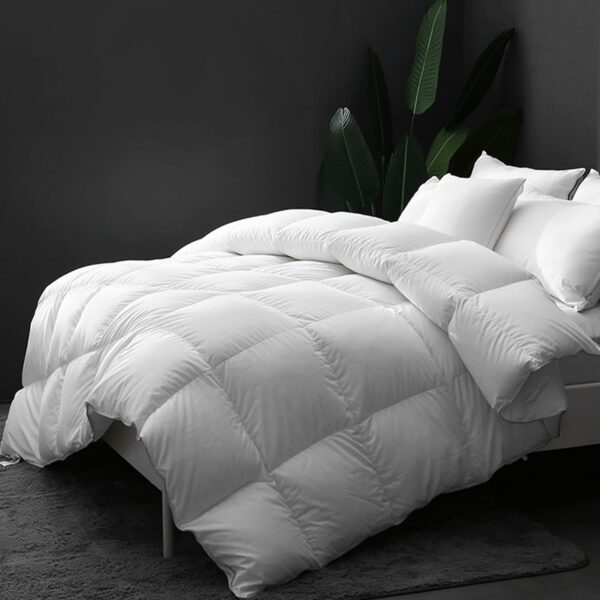 DWR Luxurious Feathers Down Comforter Queen Ultra-Soft Orga - Compare and Shop The Best Products NOW