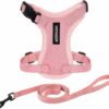Voyager Step-in Lock Adjustable Cat Harness w Cat Leash Com - Compare and Shop The Best Products NOW